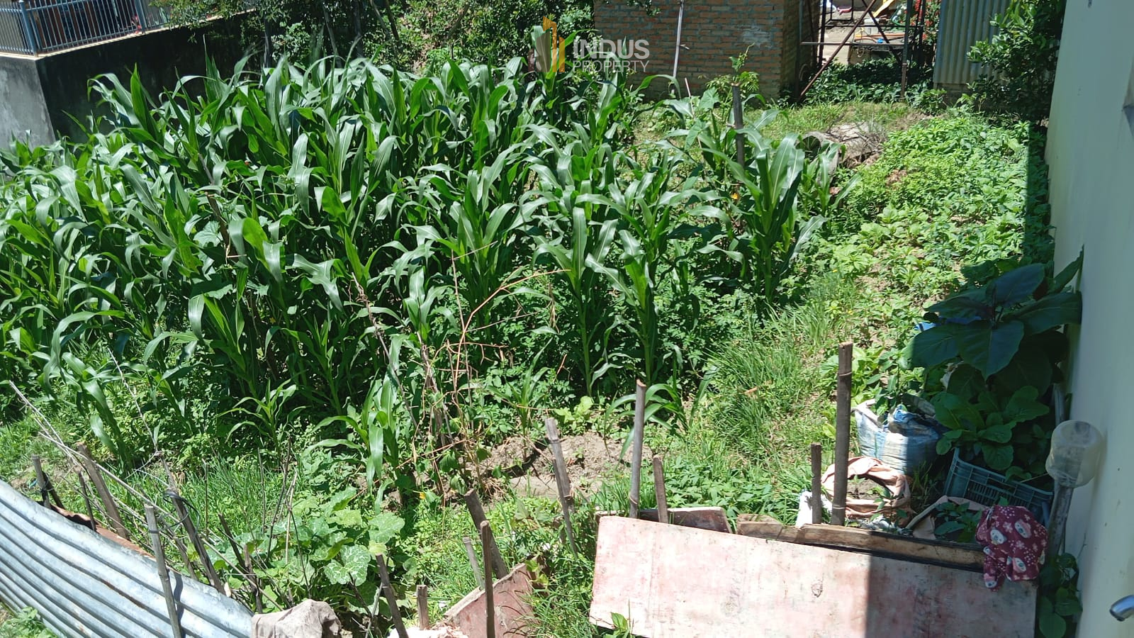 Picture of Changunarayan Municipality, Bagmati